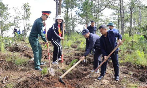 Đà Lạt ra quân trồng hơn 9.000 cây xanh chào mừng Đại hội Đảng bộ tỉnh Lâm Đồng