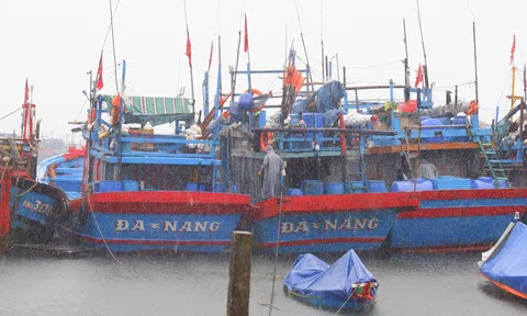 Đà Nẵng ban hành công điện khẩn ứng phó siêu bão Ragasa