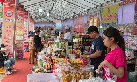 Đà Nẵng phát động bình chọn sản phẩm công nghiệp nông thôn tiêu biểu năm 2025