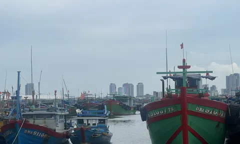 Đà Nẵng sẵn sàng phương án ứng phó toàn diện với bão Bualoi