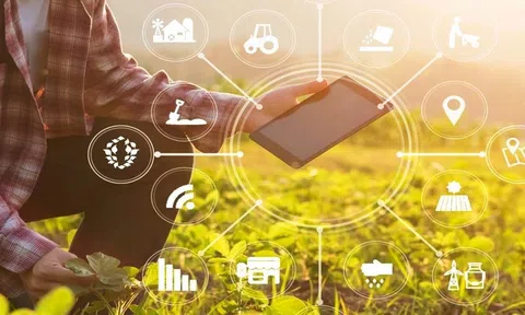 Khởi nghiệp nông nghiệp công nghệ - Cơ hội hay thách thức cho giới trẻ?