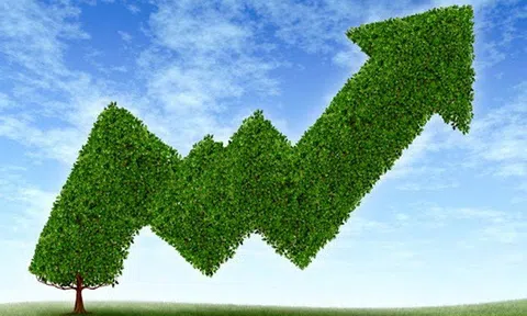 Kinh tế xanh, tăng trưởng xanh là mục tiêu của nhiều quốc gia