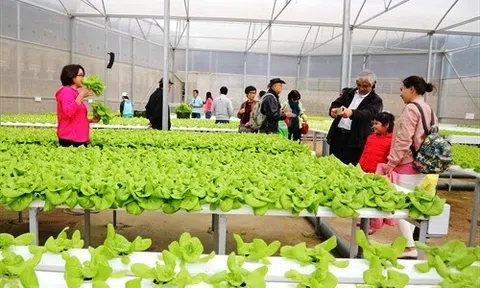 Phát triển nông nghiệp thân thiện môi trường, xanh và bền vững