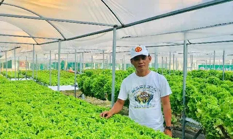 3 Ý tưởng nông nghiệp xanh sạch mang lại lợi nhuận cao