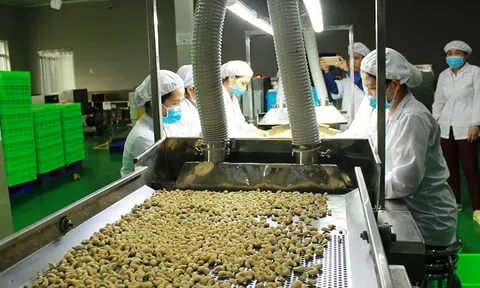 Đẩy mạnh chế biến, đa dạng hóa sản phẩm nông nghiệp