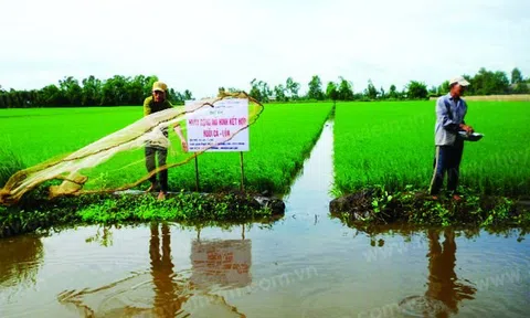 “Xanh hóa” tăng trưởng: Sản xuất xanh để vươn ra thị trường thế giới (Bài cuối)