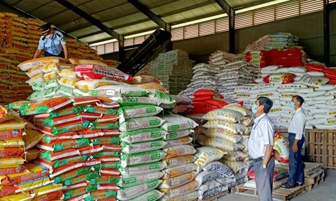Báo động gian lận thương mại ngày càng gia tăng với mặt hàng phân bón