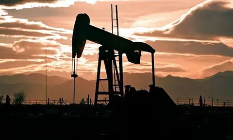 Mỹ đề xuất yêu cầu các nước xem xét giải phóng một phần dự trữ dầu thô để hạ giá dầu