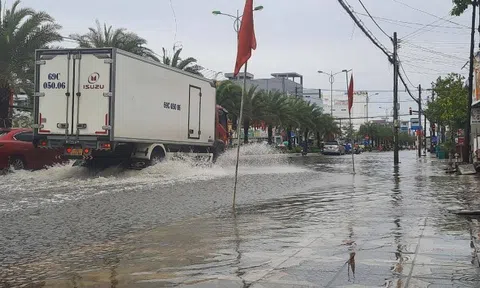 Cà Mau khắc phục thiệt hại sản xuất nông nghiệp do mưa lớn