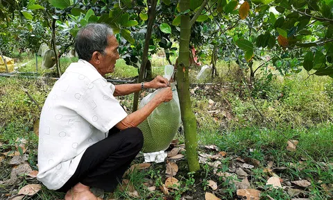 Trà Vinh hỗ trợ nông dân đưa sản phẩm nông nghiệp lên sàn thương mại điện tử