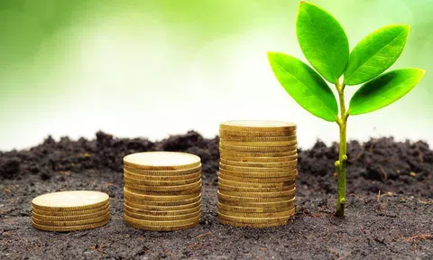 Khởi động Chuỗi chương trình tư vấn, cung cấp thông tin về thị trường xuất nhập khẩu