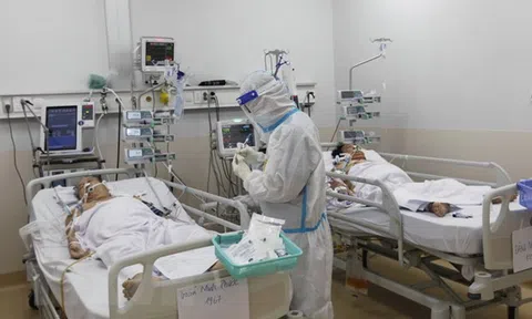 Chống covid, Cuộc đối đầu của những người trẻ