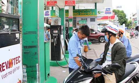 ECB nhận định lạm phát sẽ đạt đỉnh vào tháng 11/2021