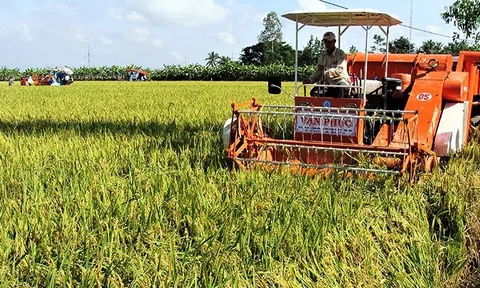 Phát triển chuỗi liên kết trong tái cơ cấu nông nghiệp ở Sóc Trăng