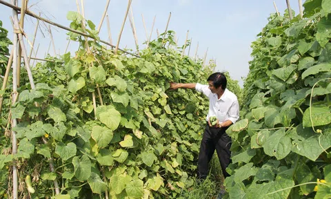 Bắc Ninh dự báo và có phương án ứng phó với những vấn đề kinh tế phát sinh