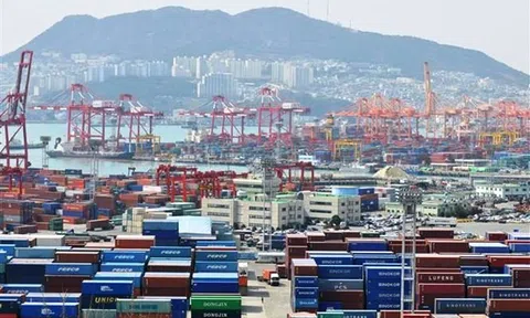 Hàn Quốc "dốc sức" khắc phục tình trạng gián đoạn chuỗi cung ứng