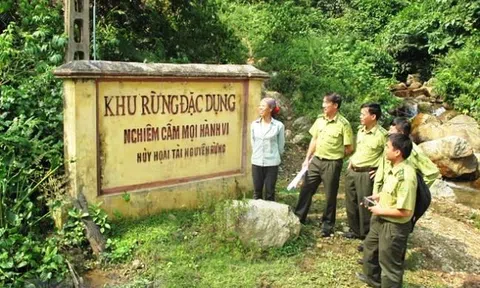 Ngành lâm nghiệp và mục tiêu môi trường xanh, sạch bền vững