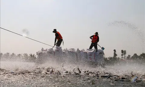 Đổi mới tư duy “cấp phép, cho phép” sang “phục vụ, chăm sóc” doanh nghiệp, nhà đầu tư