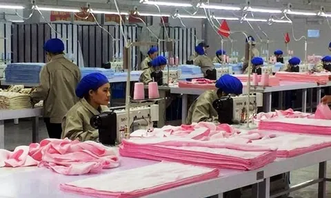 Vượt khó trong dịch, doanh nghiệp Quảng Ninh duy trì sản xuất