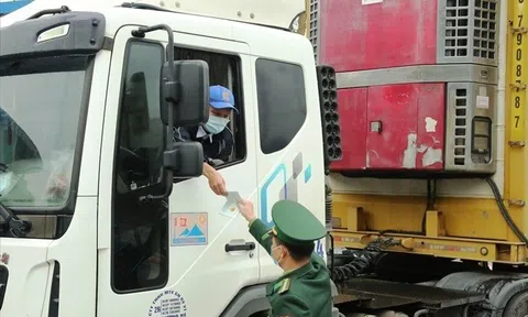 Thị phần xuất khẩu cà phê vào thị trường Trung Quốc gia tăng