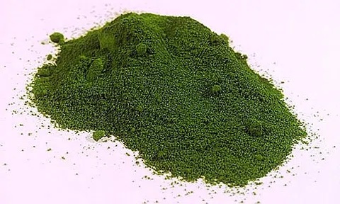 Sản xuất xi măng xanh một mục tiêu cần hướng tới