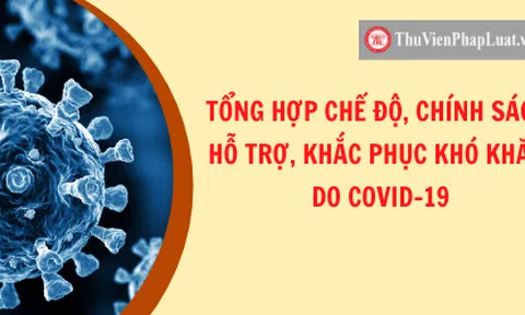 Chính sách hỗ trợ doanh nghiệp và người lao động của Chính phủ và địa phương