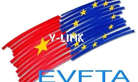 Tuân thủ nghiêm ngặt quy định để tránh ảnh hưởng xuất khẩu sang thị trường EU