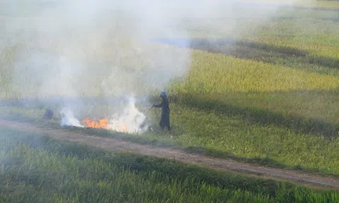 Toàn dân tham gia chống ô nhiễm môi trường