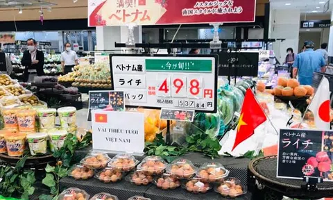 Nấc thang mới cho tăng trưởng kinh tế Việt Nam - Nhật Bản