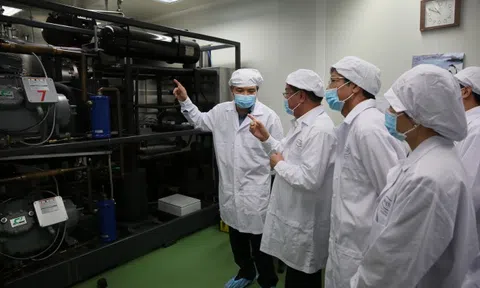 Thành công trong thử nghiệm vaccine dịch tả lợn châu Phi của DABACO