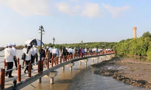 Cà Mau: Tạo đà cho nông nghiệp phát triển bền vững