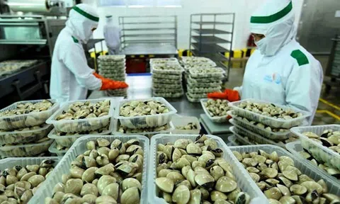 Tránh lỗi cơ bản khi xuất khẩu hàng vào thị trường EU