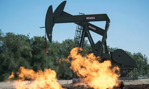 EU soạn thảo dự luật về giảm phát thải khí mêtan