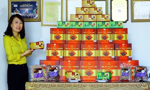 Quảng Bình: Tạo đà cho các nhà máy chế biến nông sản hoạt động