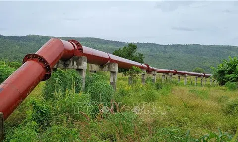 Luồng sinh khí mới ở vùng hạn Ayun, Gia Lai