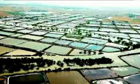 Khu đô thị Ecopark Vinh, dự án “ảo”, rao bán tràn lan?