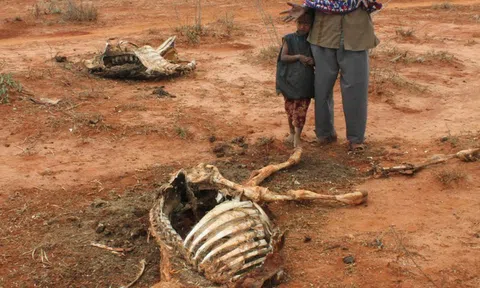 Dự báo địa điểm bùng nổ các cuộc xung đột đầu tiên vì biến đổi khí hậu