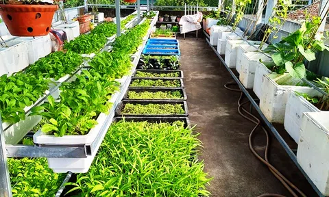 Ngắm vườn sân thượng ai cũng mê, quy hoạch đẹp đủ rau sạch cho cả nhà ăn