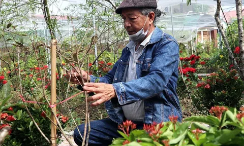 Các làng nghề ở Nghệ An tất bật vào vụ Tết