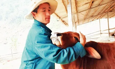 Chàng trai người Mông ở Sơn La xuất ngoại học nghề nông