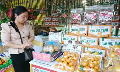 Hội chợ Đặc sản vùng miền 2021- cầu nối kích cầu sản xuất, tiêu thụ sản phẩm