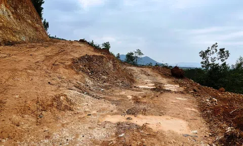 Nghệ An: Ai chịu trách nhiệm cho việc “trộm” lấy đi hàng ngàn mét khối đất rừng?