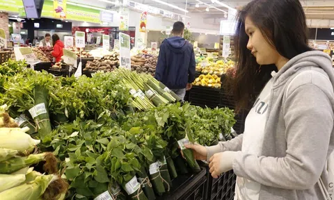 Tiêu dùng xanh và tương lai phát triển như thế nào?