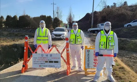 Ấn Độ, Hàn Quốc hướng tới tăng cường quan hệ hợp tác trên nhiều lĩnh vực