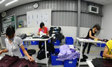 Mở 4 điểm bán hỗ trợ nông sản thực phẩm Việt trong chuỗi cửa hàng Uniqlo