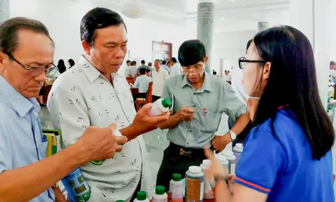 Cần Thơ và Hậu Giang ký kết hỗ trợ ứng dụng thương mại điện tử