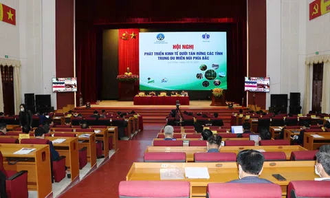 Tiềm năng phát triển kinh tế dưới tán rừng vùng Trung du và miền núi phía Bắc