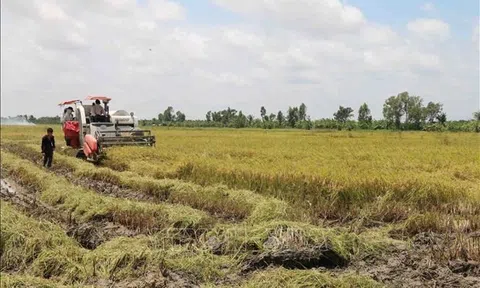 Thắt chặt liên kết, tăng hiệu quả hợp tác xã nông nghiệp