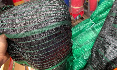 Phát triển vật liệu xanh, thay thế các loại vật liệu truyền thống gây ô nhiễm môi trường