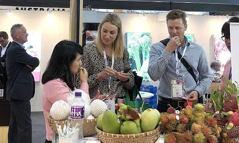 Động lực mới để doanh nghiệp đẩy mạnh xuất khẩu